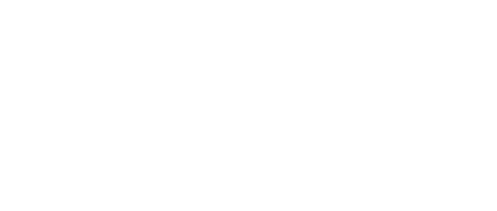 NederlandseFans Logo Wit